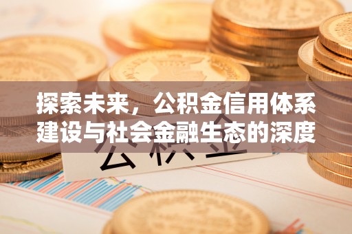 盐池探索未来，公积金信用体系建设与社会金融生态的深度融合