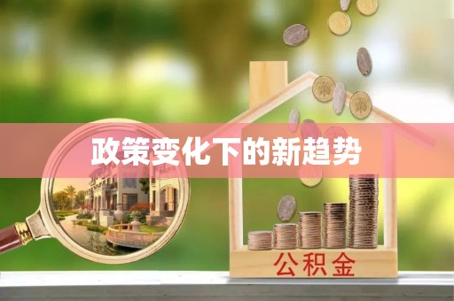盐池政策变化下的新趋势