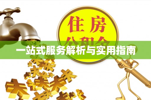 盐池一站式服务解析与实用指南
