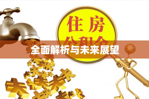 盐池全面解析与未来展望