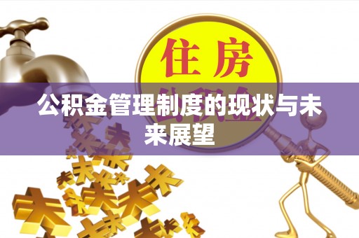 盐池公积金管理制度的现状与未来展望
