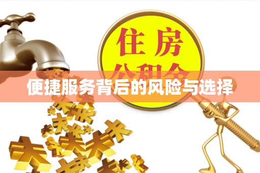 盐池便捷服务背后的风险与选择