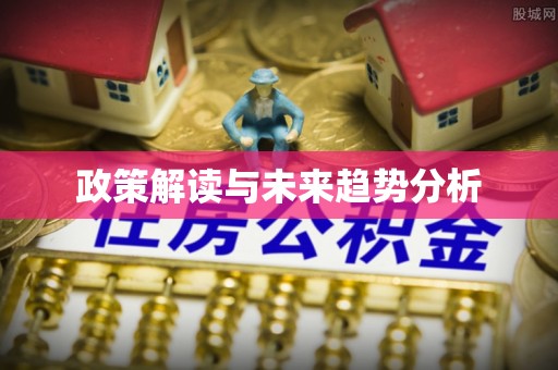 盐池政策解读与未来趋势分析
