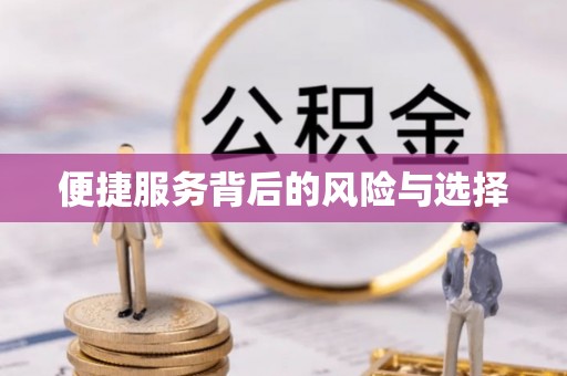 盐池便捷服务背后的风险与选择
