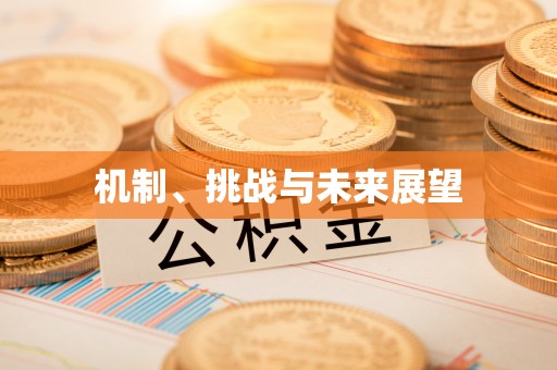 盐池机制、挑战与未来展望
