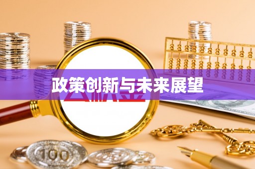 盐池政策创新与未来展望