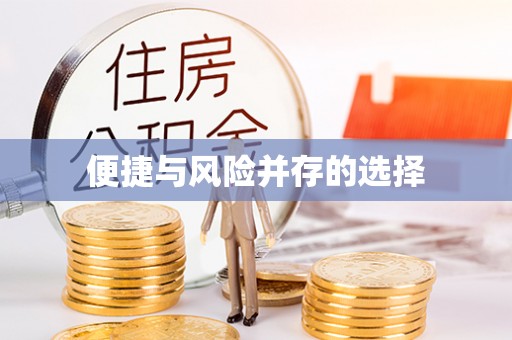 盐池便捷与风险并存的选择