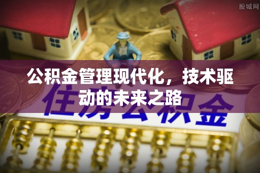 盐池公积金管理现代化，技术驱动的未来之路