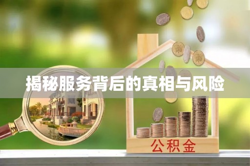 盐池揭秘服务背后的真相与风险